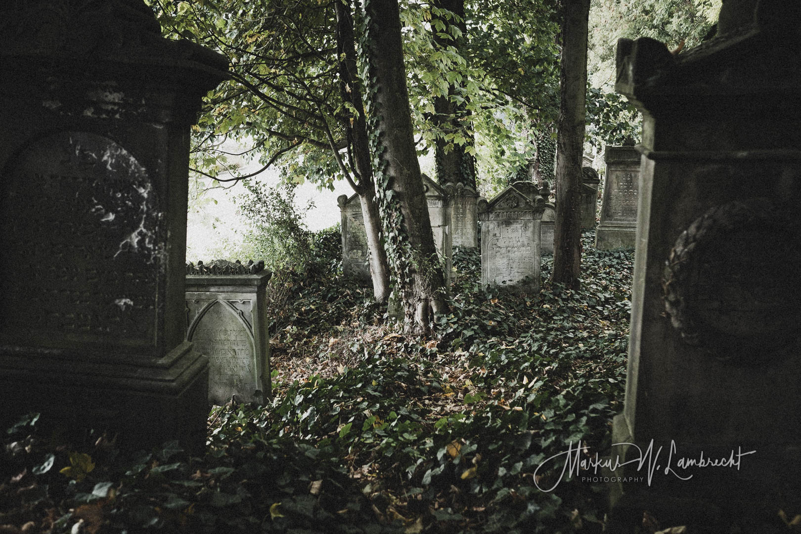 Steinheim (Westfalen), Jüdischer Friedhof
